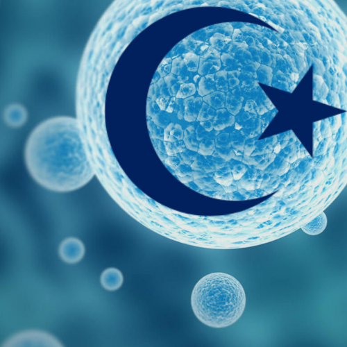 Stem Cells and Islam (1)